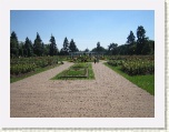 Botanical Gardens 2 - Niagara * 2592 x 1944 * (1.71MB)